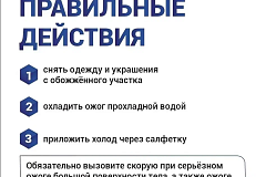 Загородный сезон. Как правильно оказать первую помощь себе и близким