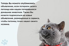 ПОЛЕЗНАЯ ИНФОРМАЦИЯ ДЛЯ ВЛАДЕЛЬЦЕВ ДОМАШНИХ ЖИВОТНЫХ