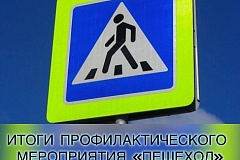 В Новой Москве прошло профилактическое мероприятие «Пешеход»